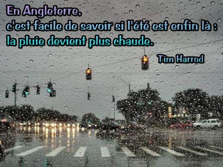 pluie_citation__3_