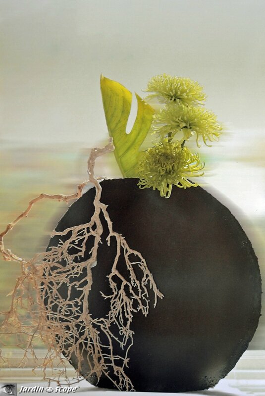 Ikebana