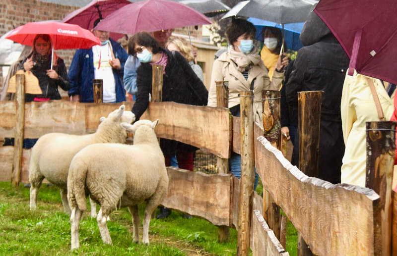 INSERTION VISTE FERME PÉDAGOGIQUE 2021 Claude Lion