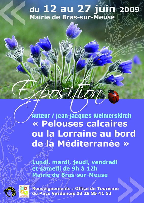 expo_pelouse_calcaire_red