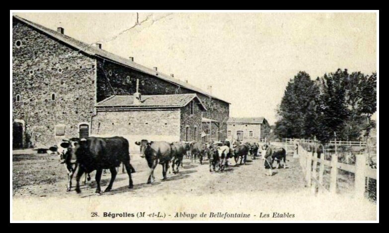 Bellefontaine étable