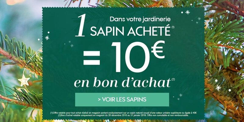 bon_sapin_