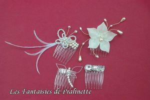 peignes_divers