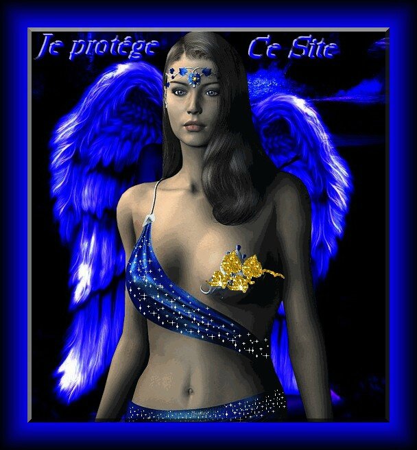 protecteur de site