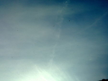 13062010783