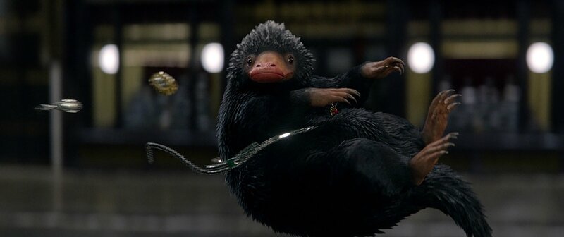 animaux fantastiques 2