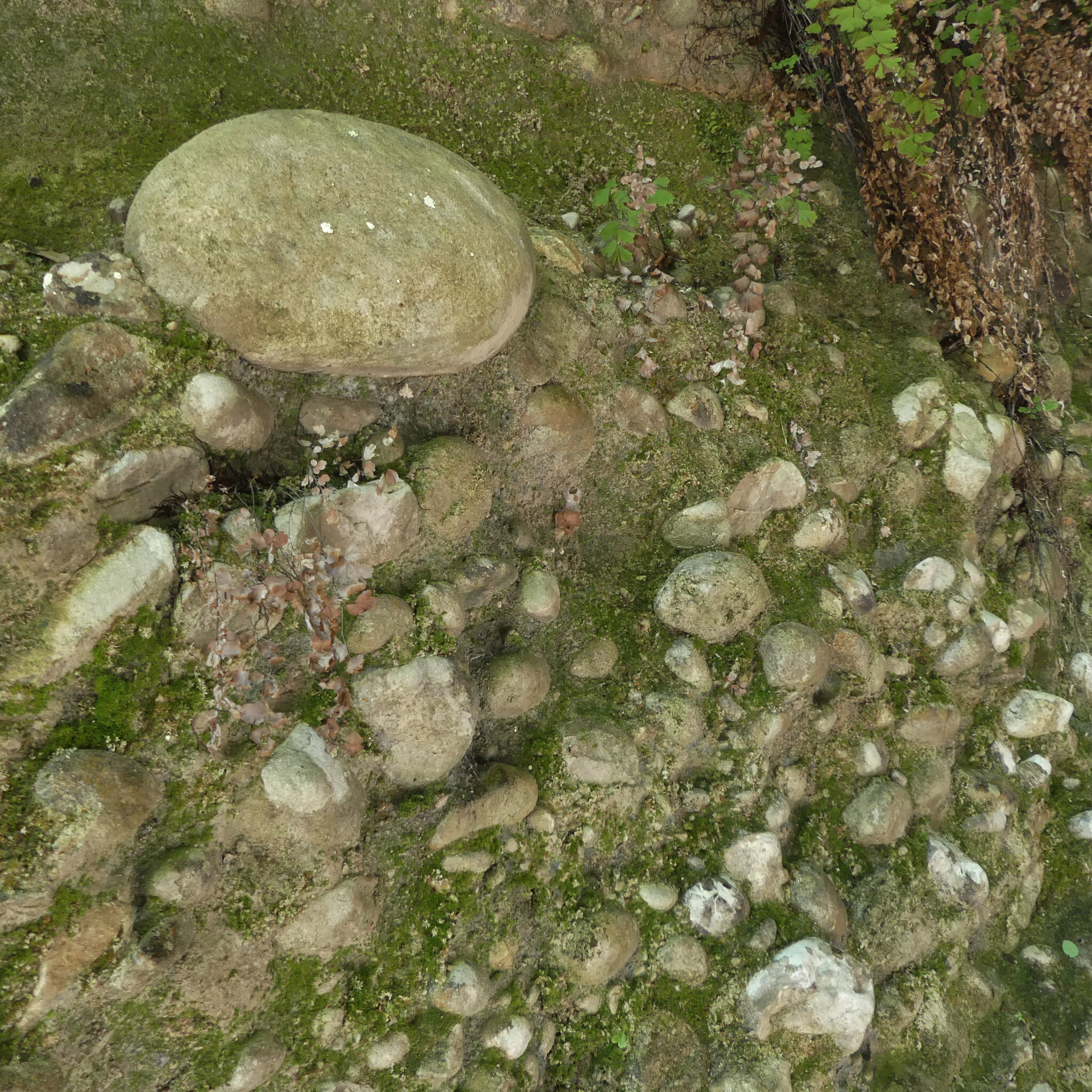P1120731 (2)