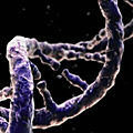 ➡️DR André Gernez la <b>chimio</b> detruit l’ADN de manière irréversible