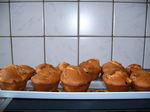 muffins_pommes_noix