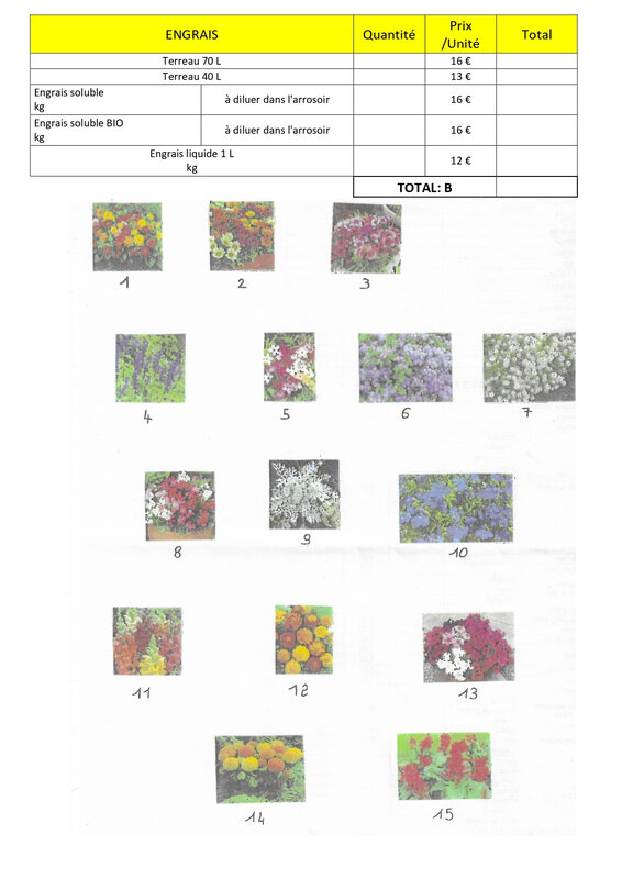 vente de fleur_page-0009