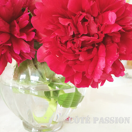 Pivoines côté Passion