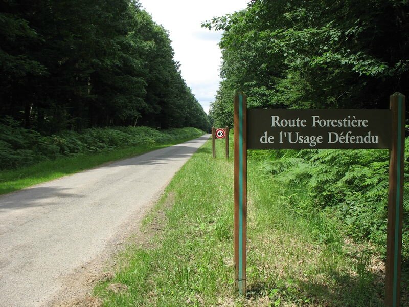 forêt domaniale de l'usage défendu