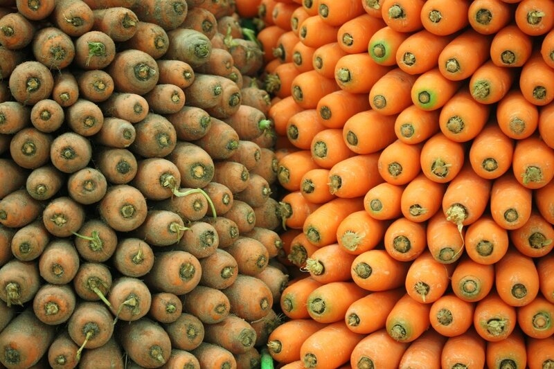 univers primeurs carottes