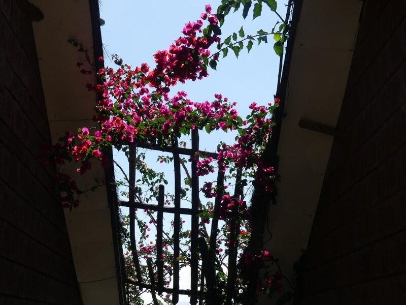 P1030858