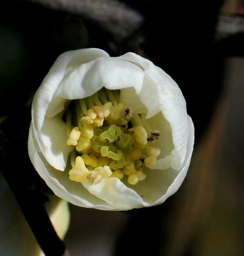 HD3_5621-1