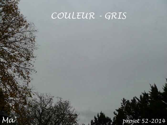 52-2014_S46_Couleur_Gris