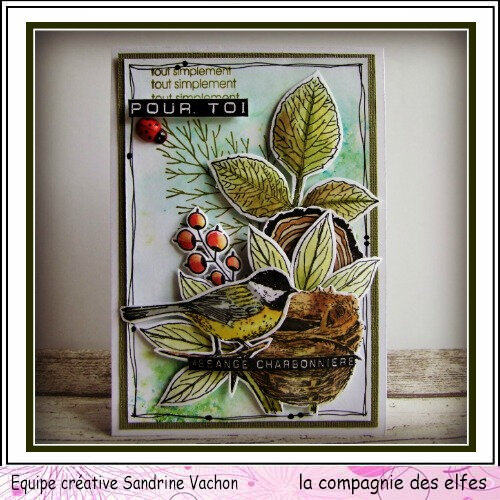 Sandrine VACHON carte DT LCDE (1)