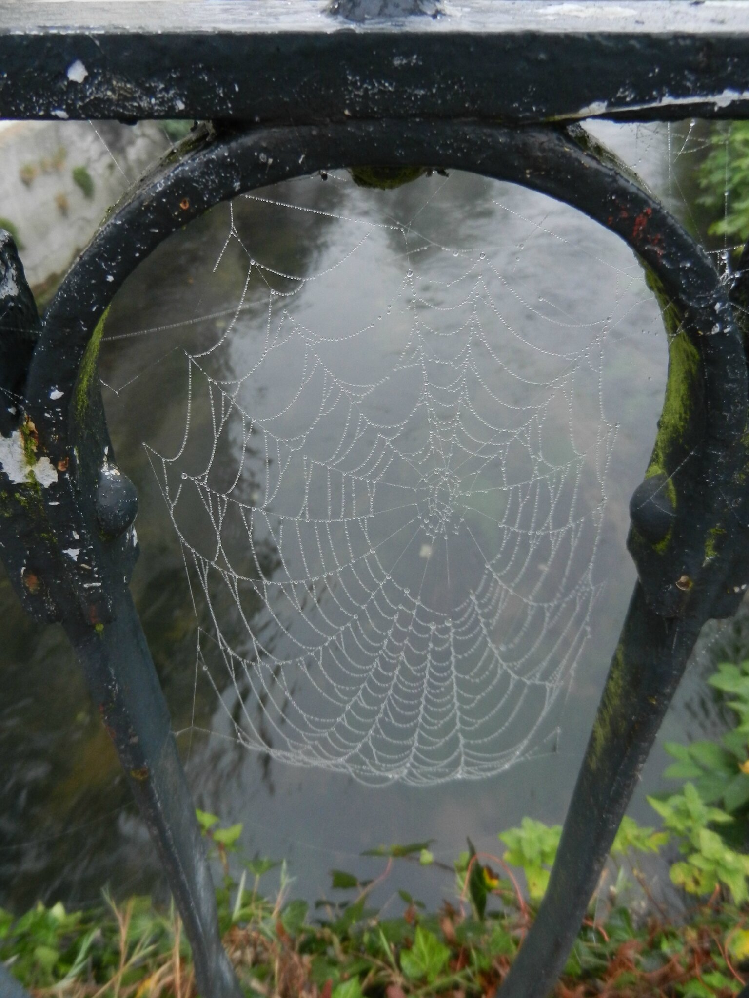 50-29 octobre 2016