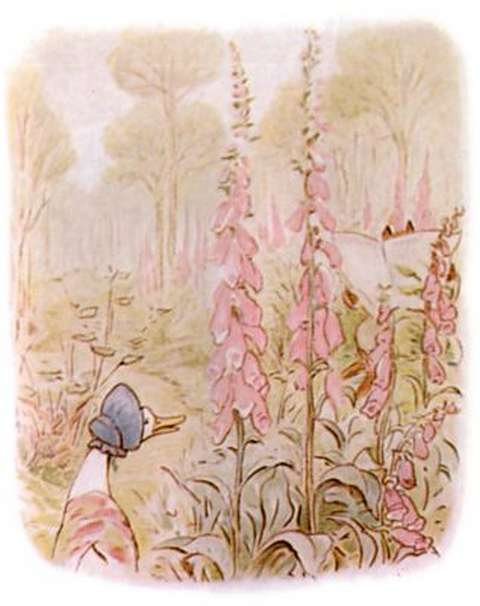 jemima-puddle-duck-beatrix-potter-picture-08