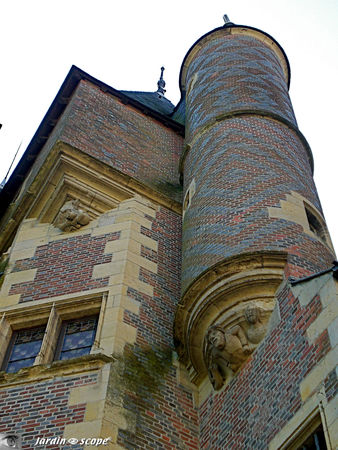 Chateau_de_Gien_d_tail
