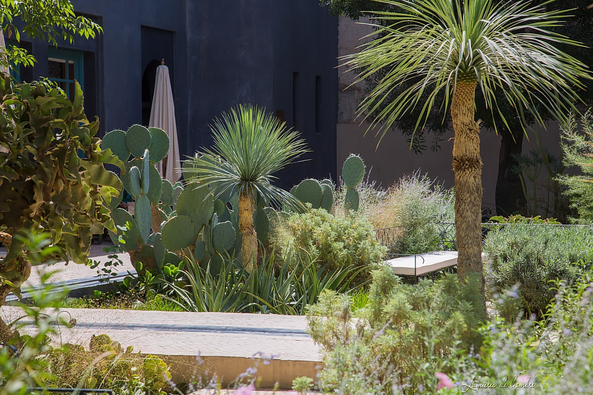 wb_Jardin Marrakech_20170928_6713