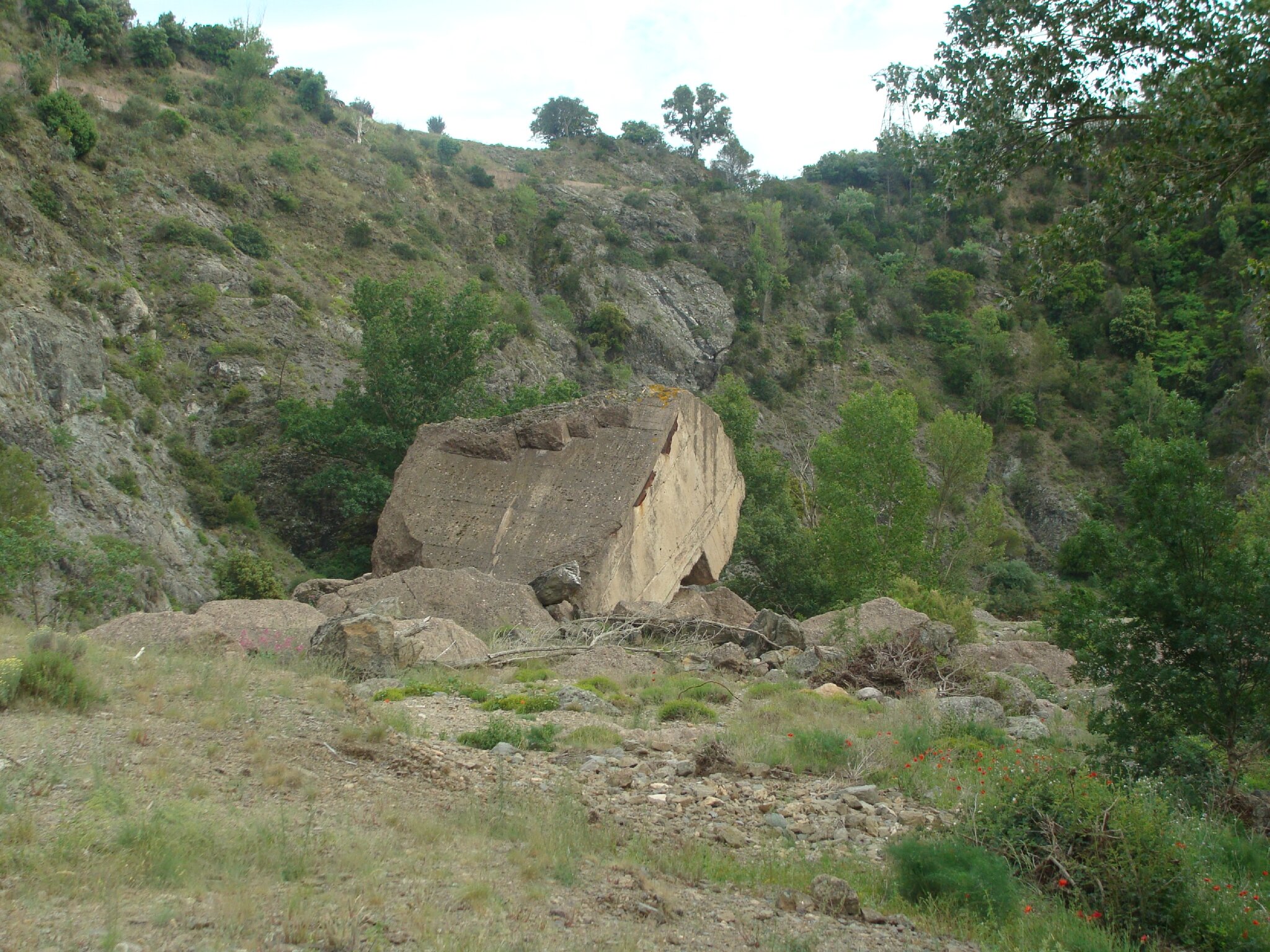 Barrage de Malpasset (27)