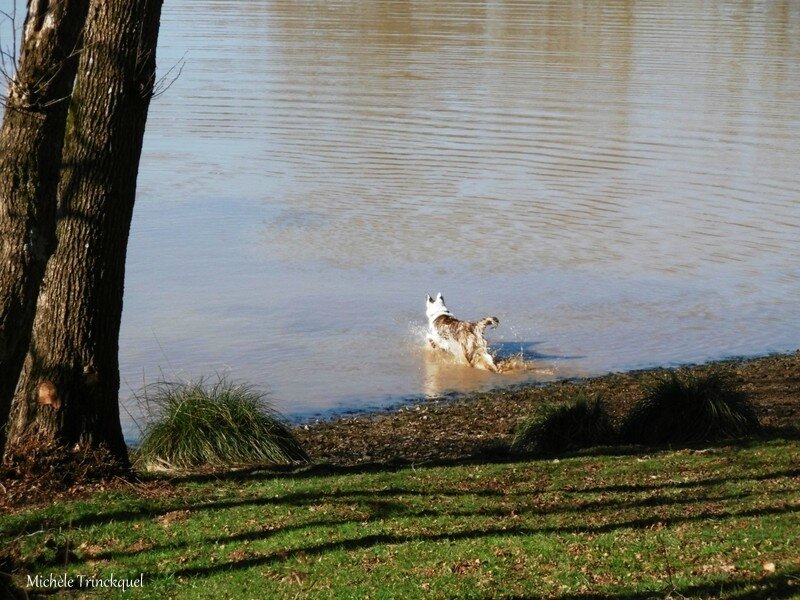 Lac de Luc 280118