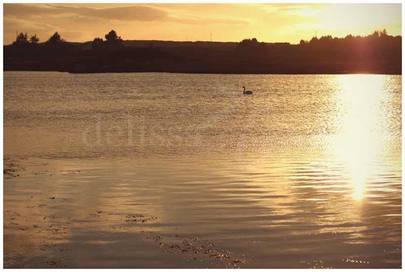 Eire09_small