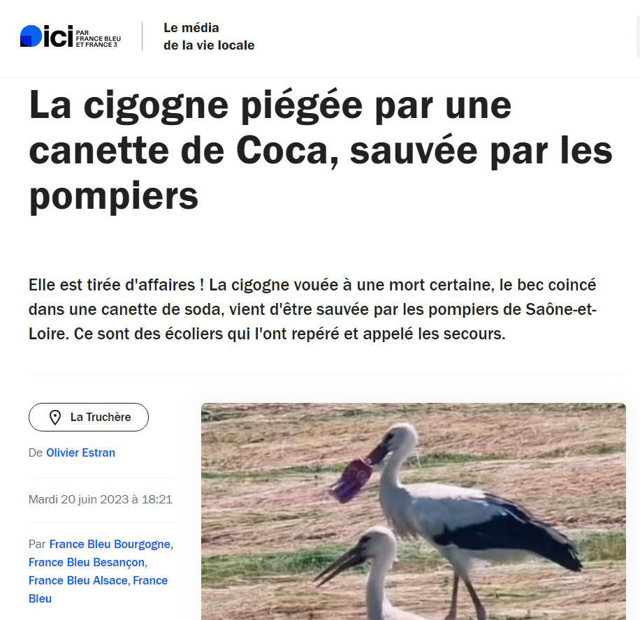 La cigogne et la canette