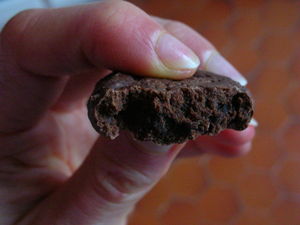 Biscuits_cacao_int_rieur