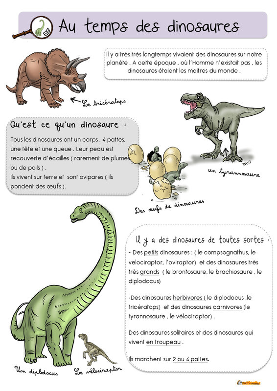 les-dinosaures-ex-et-lecture-BDG-bis_page-0001