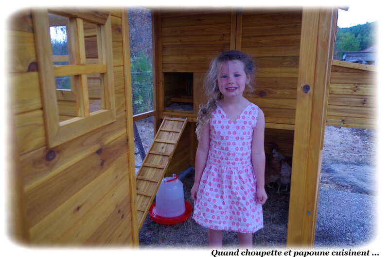poulailler-6065