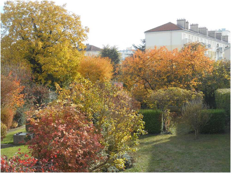 automne3