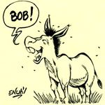 005- Bob dit l'âne