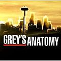 Grey's anatomy [s08e13]