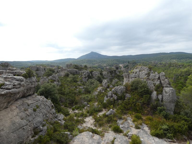 Moureze_13-08-2020(12)