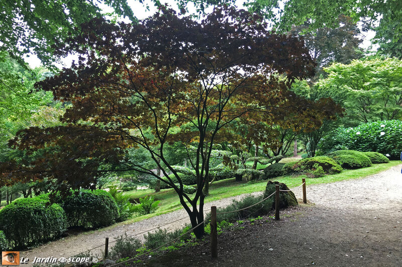 PAT_0968-Parc-Oriental-de-Maulévrier