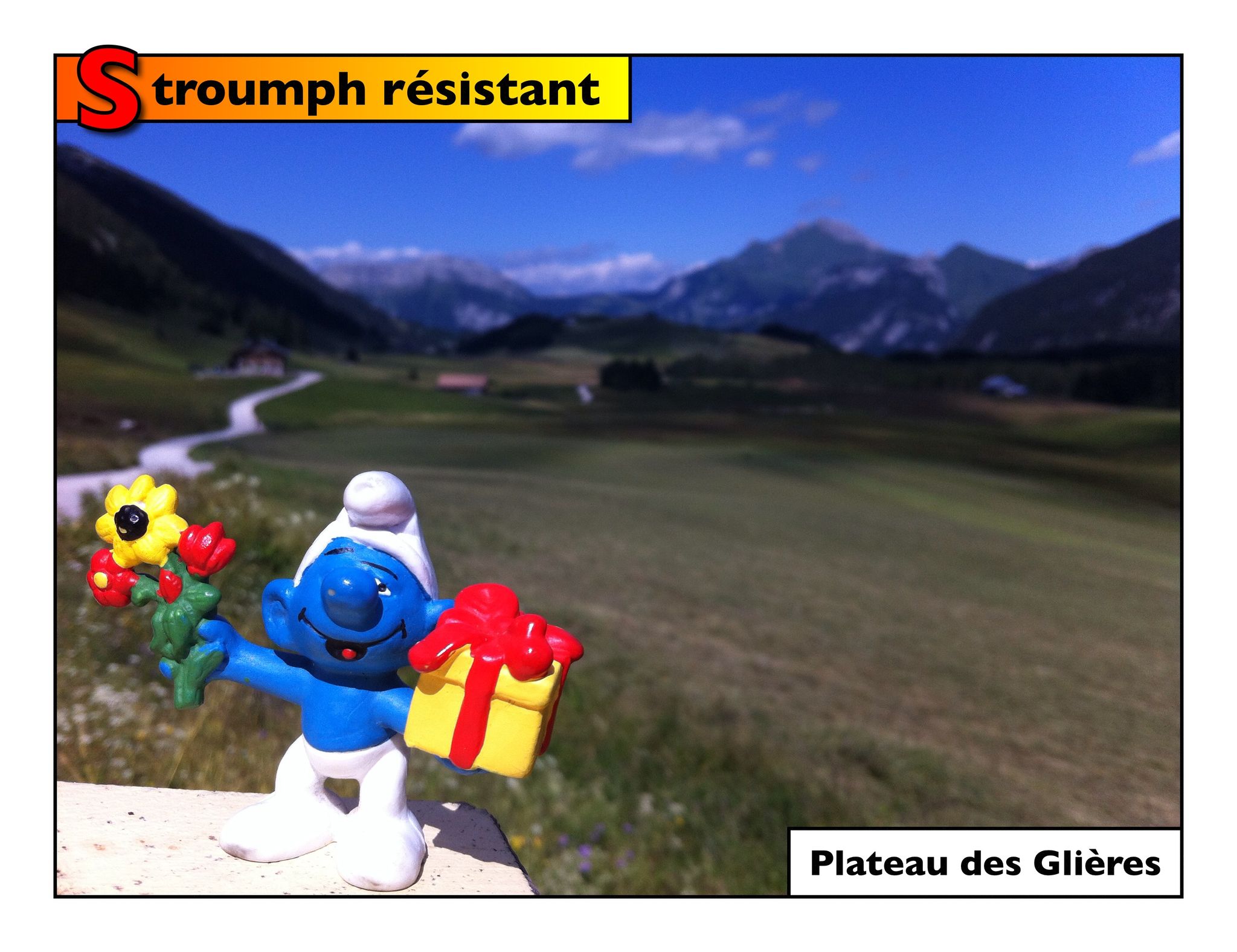 Plateau des Glières : Schtroumpf résistant (74)