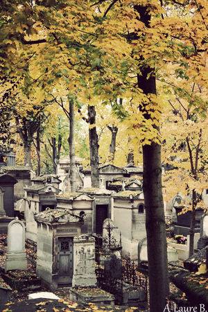 Pere_Lachaise_948_copie