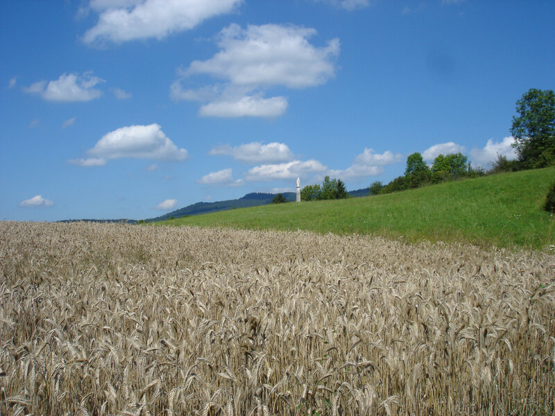 DSC06347