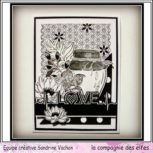 Sandrine VACHON carte N&B dt LCDE (1)