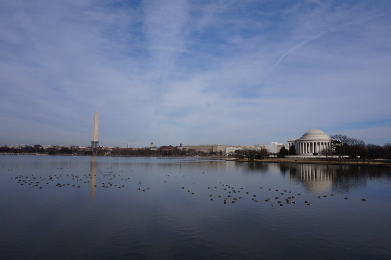 vue washington monument & jefferson memorial