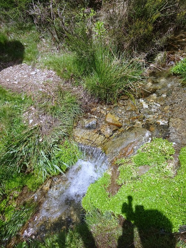 La source du Lot