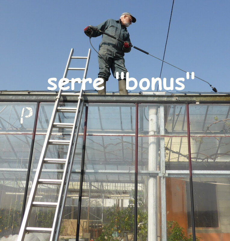 27-serre bonus