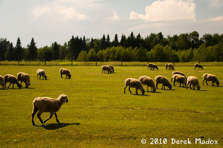 Gaspesie_09204NewWeb