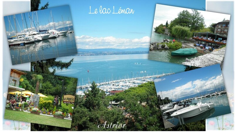 Le lac Leman1