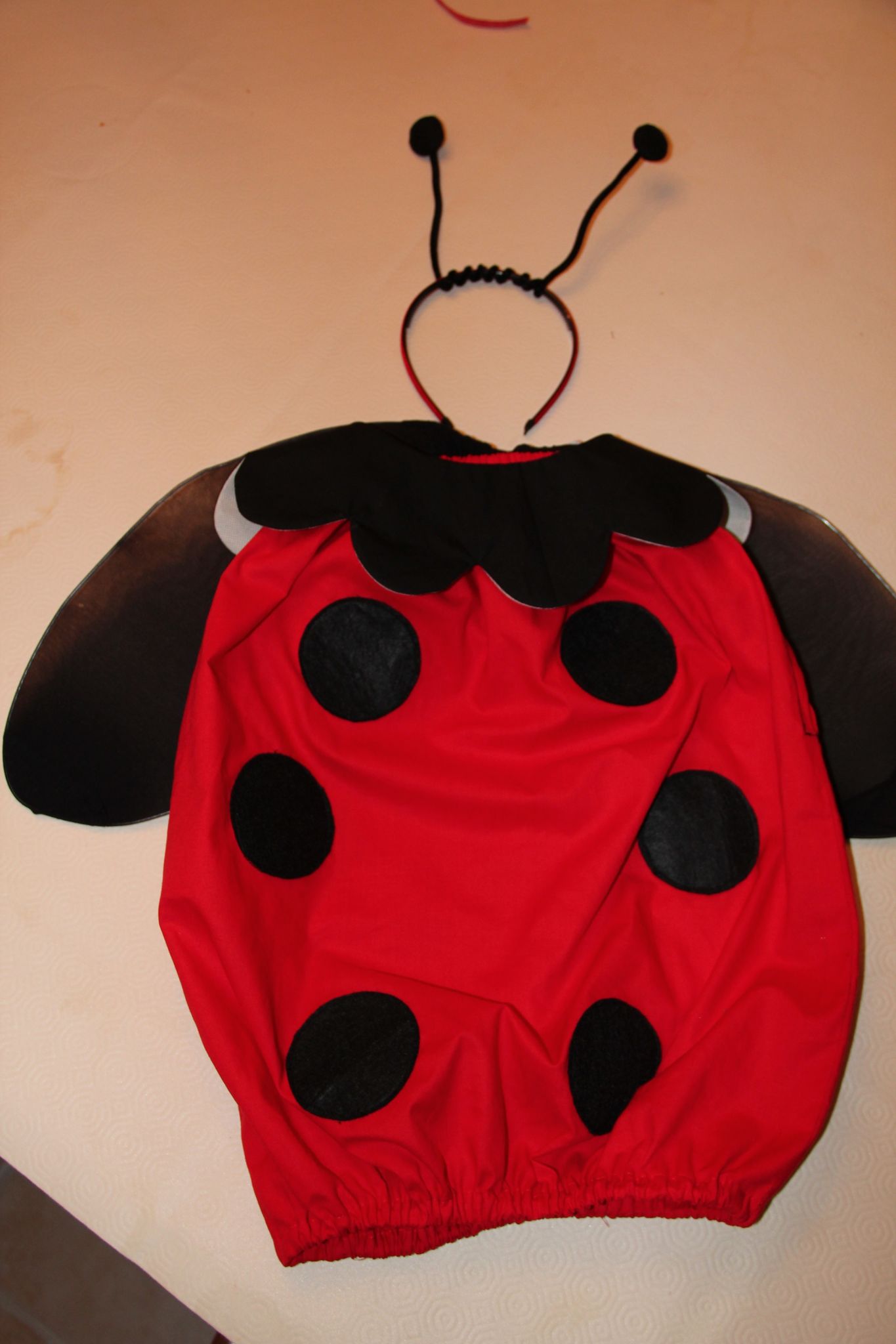 Une coccinelle C est l heure de la sieste