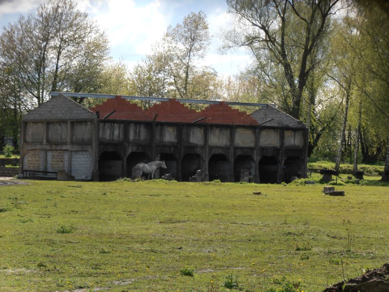 51 - Marcasse - écuries