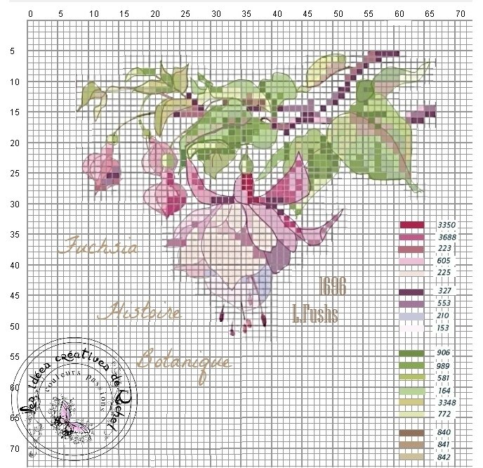 branche de fucshia
