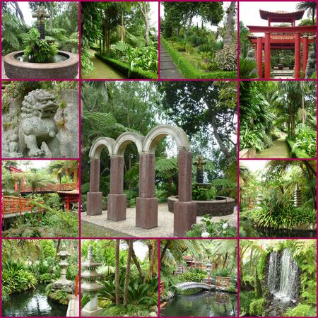 Mosaic_Jardin_tropical_Monte_Palace_3